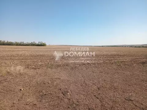 Участок в Ростовская область, Октябрьский район, Коммунарское с/пос, ...