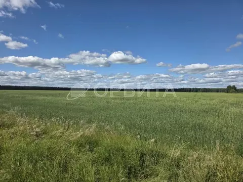Участок в Свердловская область, Слободо-Туринский район, ...