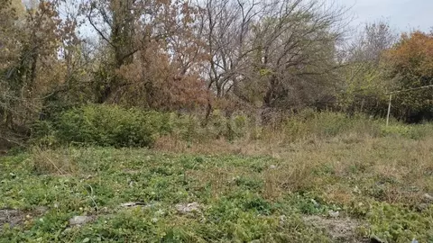 Участок в Саратовская область, Саратов Кумысная поляна СНТ, 23 (7.0 ...