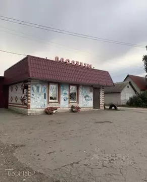 Помещение свободного назначения в Рязанская область, Шацкий район, ...