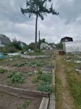 Дом в Пермский край, Пермь Коллективный сад № 54 СНТ, 92 (40 м)