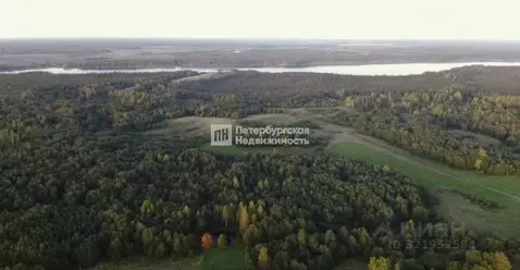 Участок в Ленинградская область, Лужский район, Осьминское с/пос, д. ...