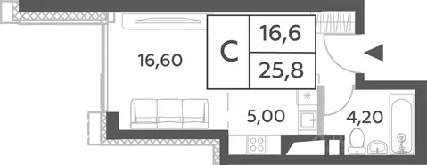 Студия Москва просп. Генерала Дорохова, 49 (25.8 м)