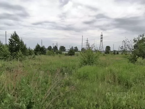 Участок в Свердловская область, Белоярский пгт ул. Березовая (12.4 ...