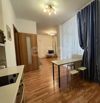 1-к кв. Свердловская область, Екатеринбург ул. Шейнкмана, 88 (42.5 м)