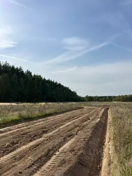 Участок в Московская область, Раменский муниципальный округ, Опушкино ...