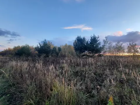 Участок в Калужская область, Тарусский район, Новая земля кп  (12.0 ...