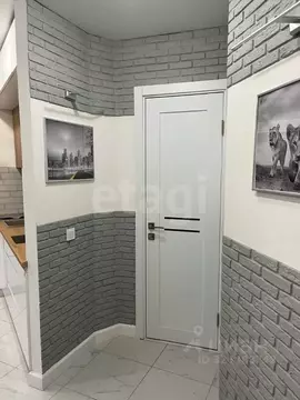 Студия Воронежская область, Воронеж ул. Хользунова, 99Б (31.0 м)