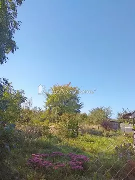 Участок в Калининградская область, Советск Дружба СНТ,  (6.4 сот.)