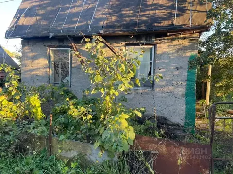 Участок в Башкортостан, Уфимский район, Чесноковский сельсовет, Мир ...