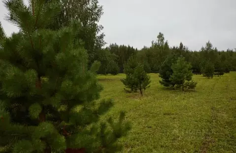 Участок в Тульская область, Заокский район, Малаховское с/пос, Нова ...