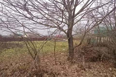 Участок в Московская область, Дмитровский муниципальный округ, с. ...