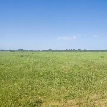 Участок в Пермский край, Пермский муниципальный округ, д. Качка ул. ...