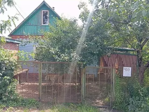 Дом в Краснодарский край, Краснодар Черемушки мкр, ул. Припутевая, ...