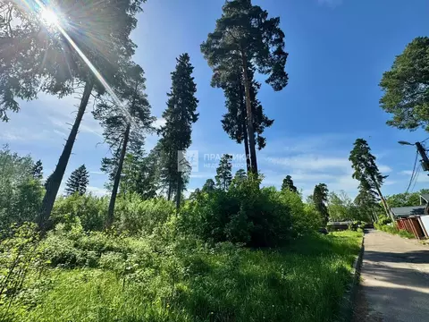 Продается участок в г. Пушкино