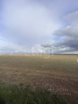 Участок в Крым, Сакский район, Штормовское с/пос, с. Приветное  (3.0 ...