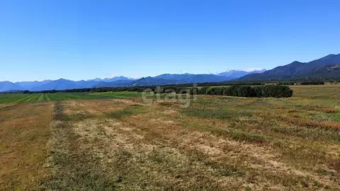 Участок в Камчатский край, Елизовский муниципальный округ, с. Сосновка ...