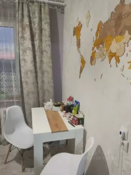 1-к кв. Омская область, Омск пос. Амурский, ул. Багратиона, 29Ж (34.0 ...