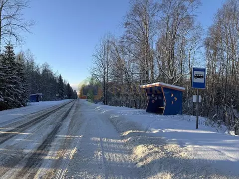 Участок в Ленинградская область, Кингисеппский район, Нежновское ...