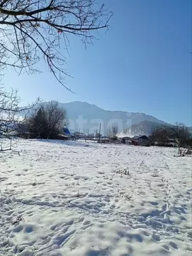 Участок в Алтай, Шебалинский район, с. Черга Октябрьская ул. (15.0 ...