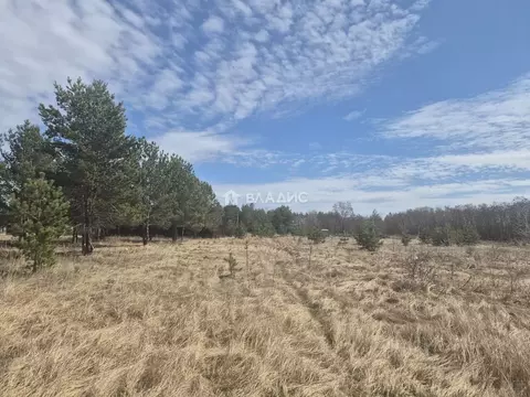 Участок в Воронежская область, Рамонский район, с. Новоживотинное ул. ...