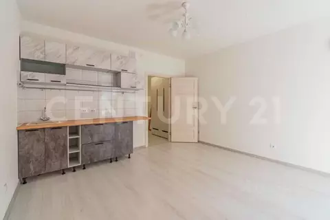 Студия Санкт-Петербург просп. Буденного, 21к1 (25.5 м)