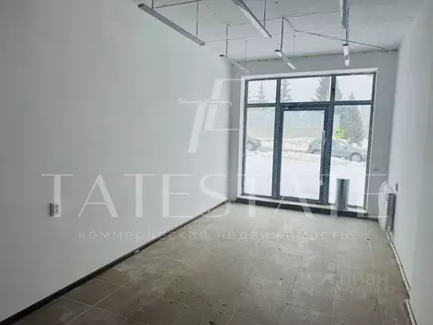 Помещение свободного назначения в Татарстан, Казань ул. Сабит, 6А (25 ...