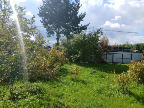 Участок в Московская область, Павловский Посад  (7.0 сот.)