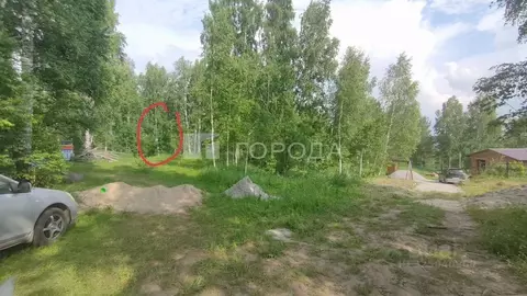 Участок в Новосибирская область, Новосибирский район, Барышевский ...