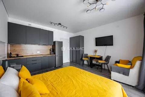 Студия Санкт-Петербург ул. Ультрамариновая, 5 (25.2 м)