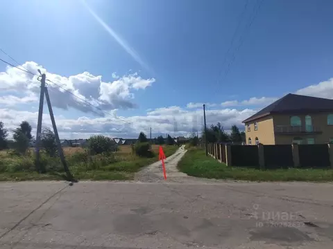 Участок в Брянская область, Брасовский район, Локоть рп ул. Королева ...