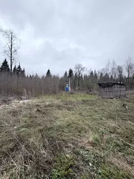 Участок в Московская область, Одинцовский городской округ, Лесное ...