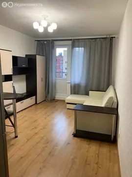 Квартира-студия: Колпино, улица Севастьянова, 28к1 (23.9 м)