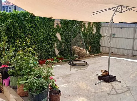 Дом в Краснодарский край, Геленджик просп. Геленджикский, 167 (55 м)