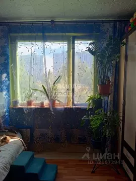 Комната Москва Кировоградская ул., 19К2 (15.0 м)