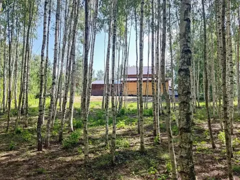 Дом в Нижегородская область, Городецкий муниципальный округ, д. ...