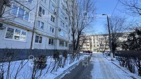 2-к кв. Волгоградская область, Волгоград Пролетарская ул., 17 (51.2 м)