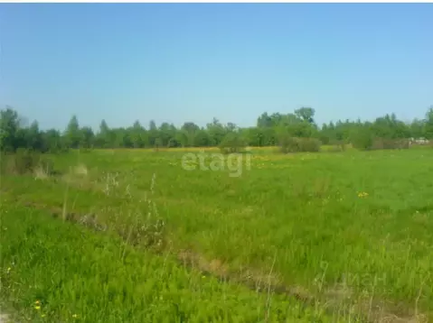 Участок в Ярославская область, Ярославский муниципальный округ, д. ...