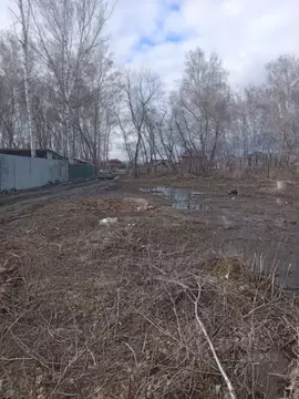 Участок в Омская область, Омский район, с. Пушкино ул. Ленина (4.0 ...