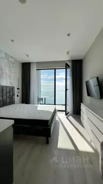 1-к кв. Краснодарский край, Сочи Лучезарная ул., 1А (42.0 м)