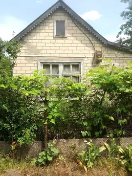 Дом в Белгородская область, Белгородский район, Ериковское с/пос  (24 ...