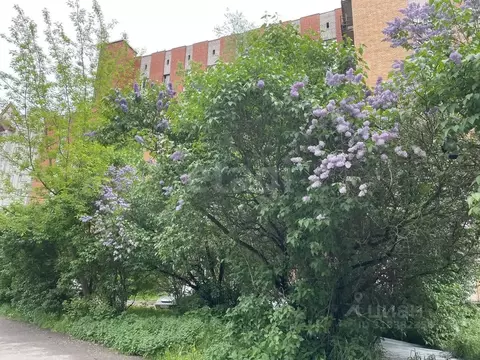 2-к кв. Псковская область, Псков Красноармейская ул., 26 (52.0 м)