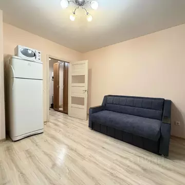 Студия Санкт-Петербург ул. Русановская, 16к1 (20.2 м)