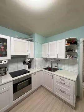 1-к кв. Санкт-Петербург пос. Парголово, ул. Федора Абрамова, 4 (34.3 ...