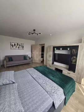 1-к кв. Воронежская область, Новоусманский район, пос. Отрадное ул. ...