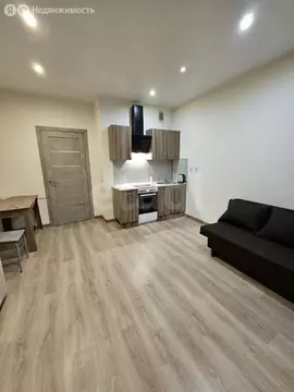 1-комнатная квартира: Калининград, Батальная улица, 98 (24 м)