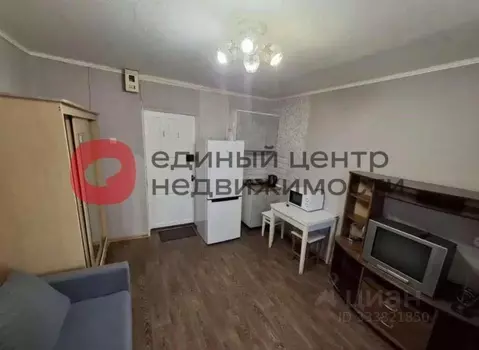 Студия Тюменская область, Тюмень ул. Котовского, 13 (13.0 м)