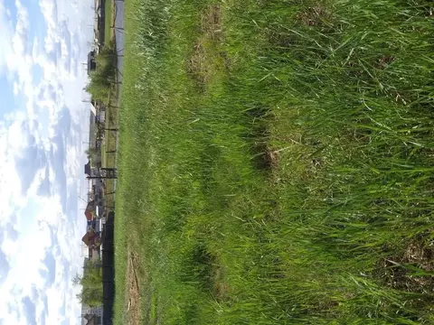 Участок в Саха (Якутия), Якутск Набережная ул. (20.0 сот.)