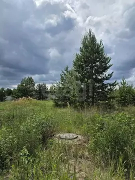 Участок в Воронежская область, Рамонский район, Айдаровское с/пос, с. ...