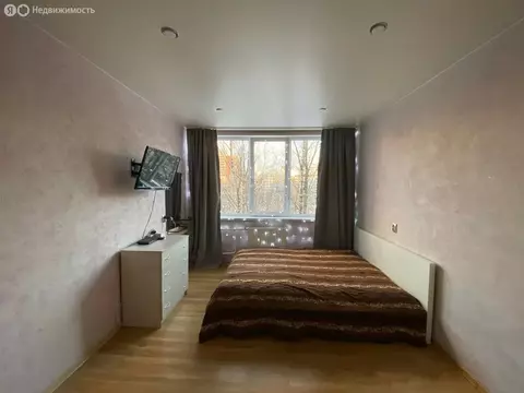 1-комнатная квартира: Санкт-Петербург, улица Подвойского, 35к1 (29.2 ...